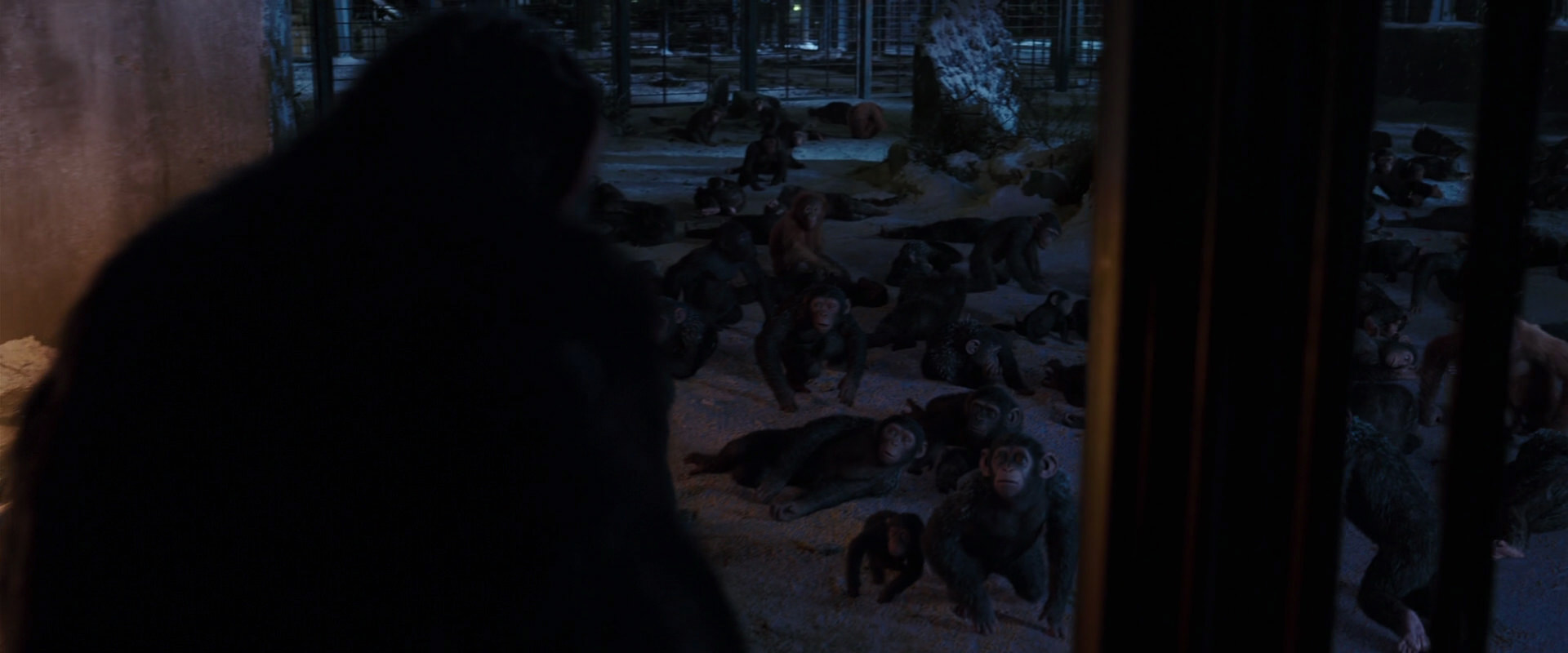 War for the Planet of the Apes (2017) screencap 12906
