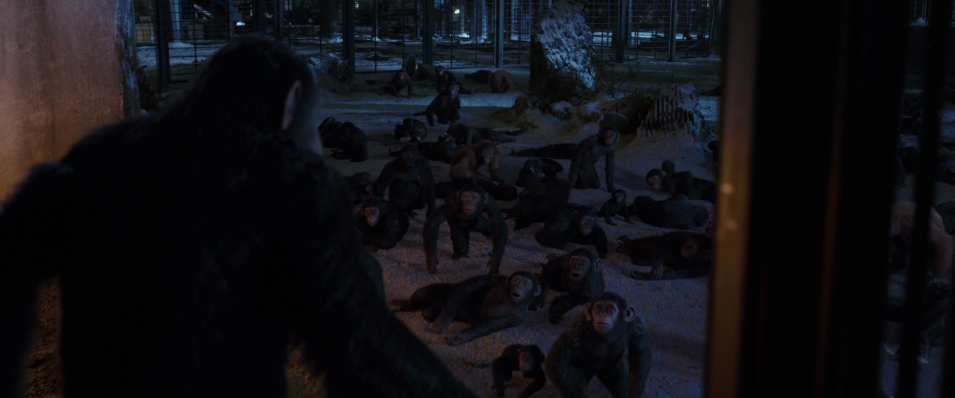 War for the Planet of the Apes (2017) movie still 12907
