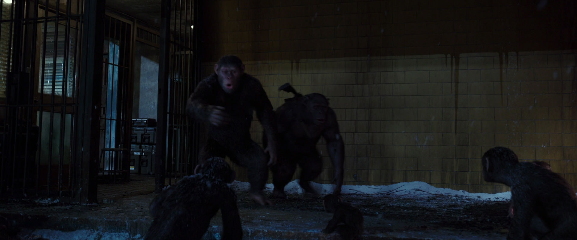 War for the Planet of the Apes (2017) HD screenshot 12908