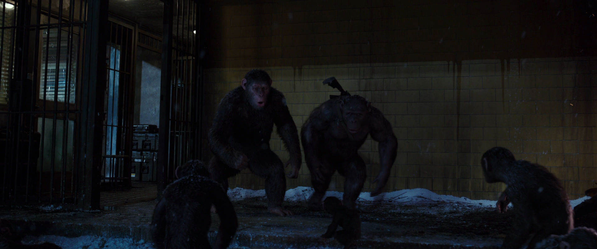 War for the Planet of the Apes (2017) screencap 12909
