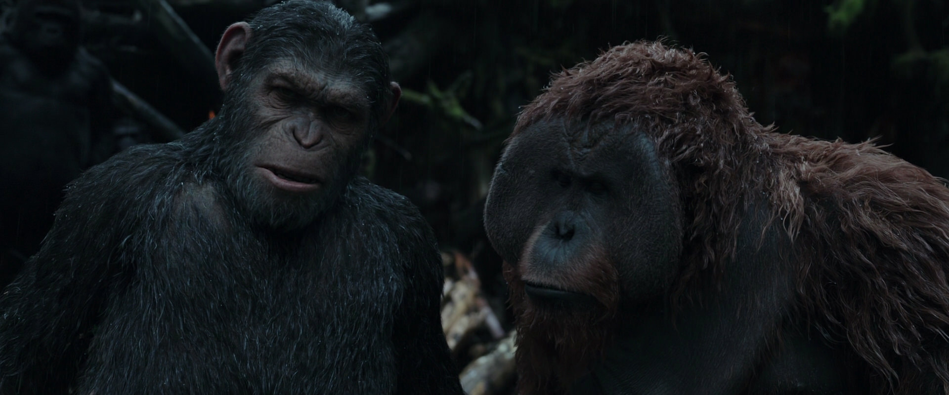 War for the Planet of the Apes (2017) movie still 1291