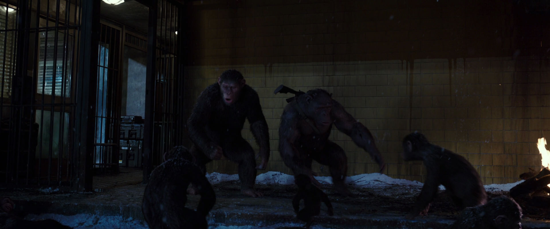 War for the Planet of the Apes (2017) movie still 12910