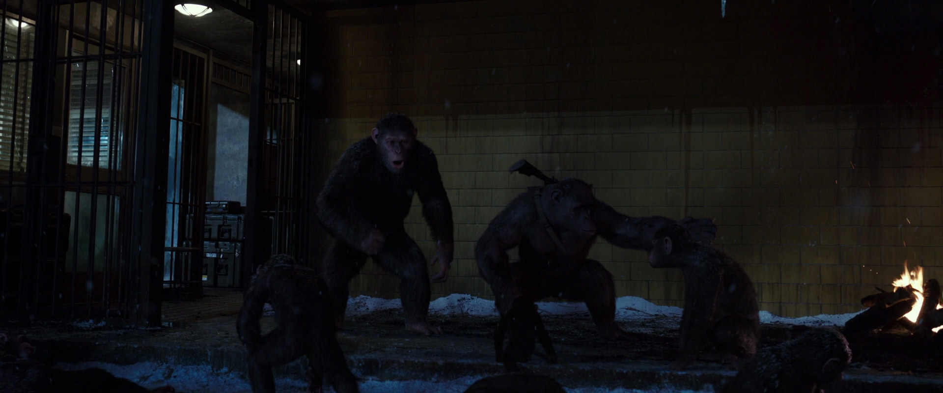 War for the Planet of the Apes (2017) HD screenshot 12911