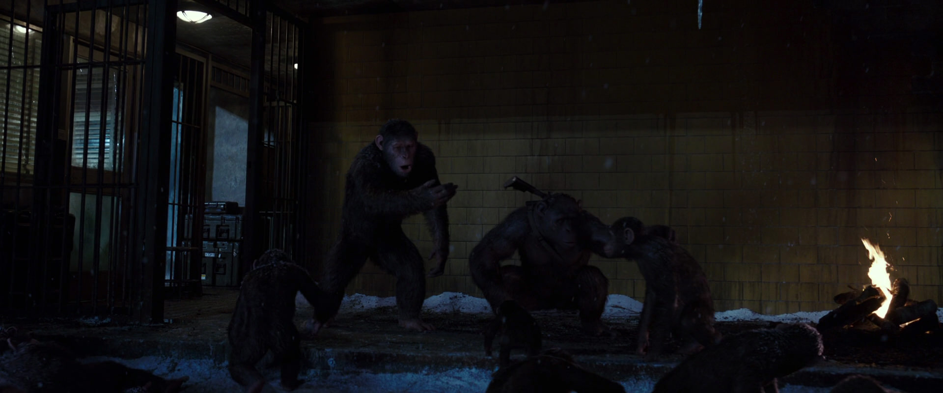 War for the Planet of the Apes (2017) screencap 12912