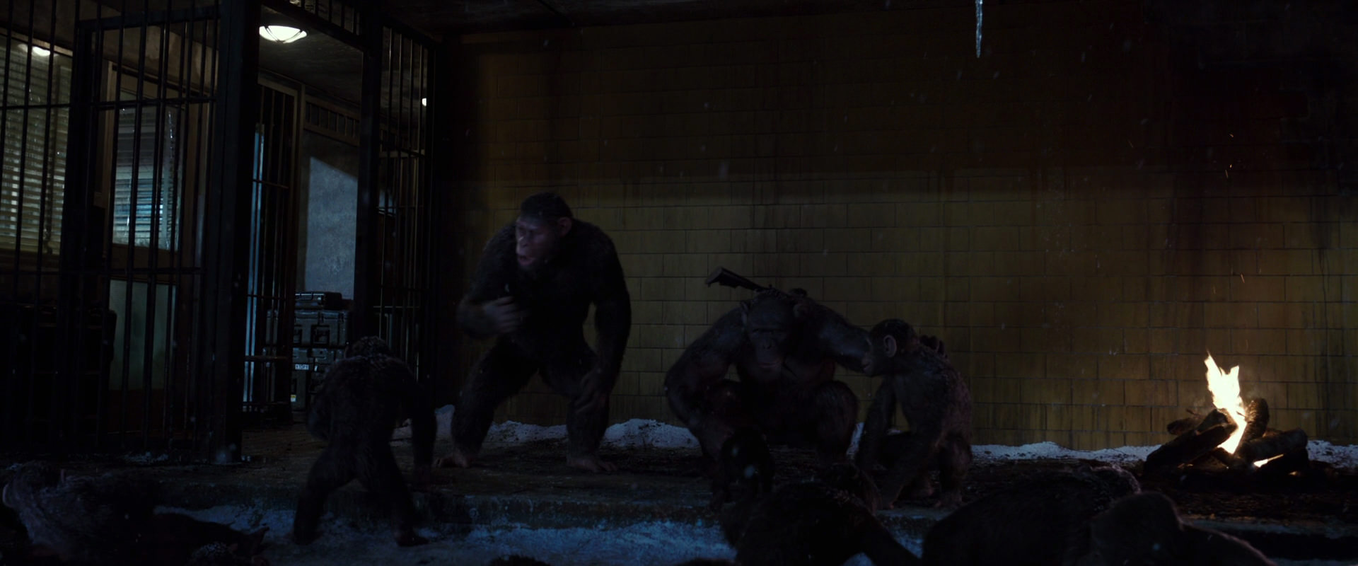 War for the Planet of the Apes (2017) movie still 12913