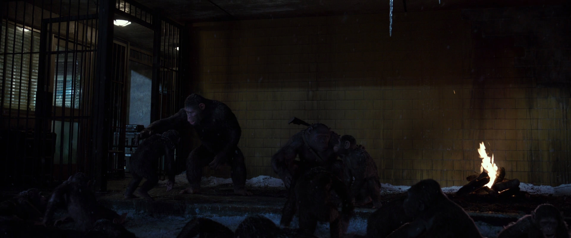 War for the Planet of the Apes (2017) screencap 12915