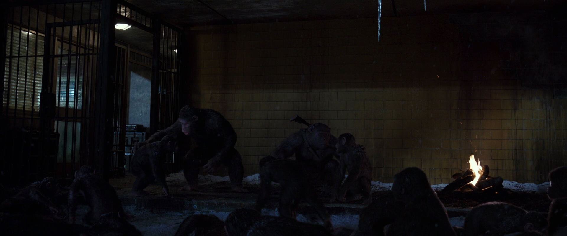 War for the Planet of the Apes (2017) movie still 12916