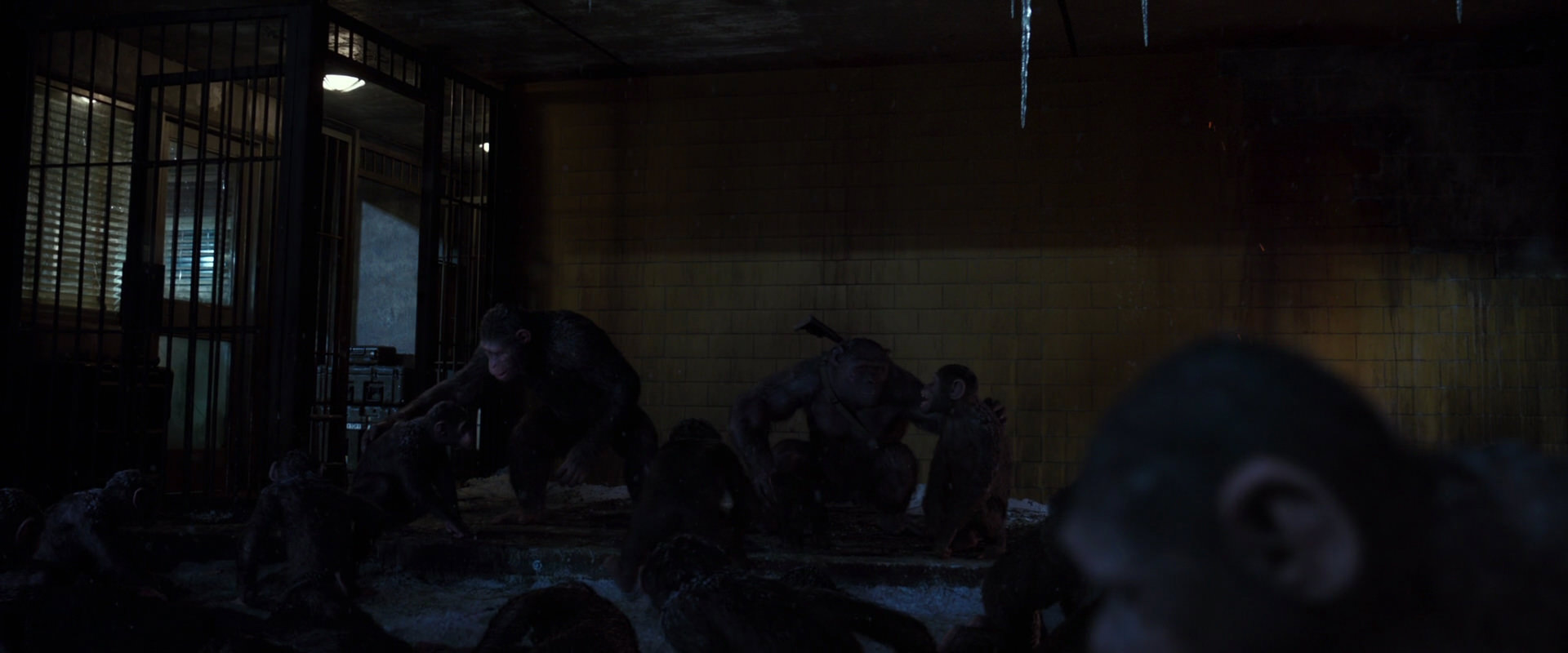 War for the Planet of the Apes (2017) HD screenshot 12917