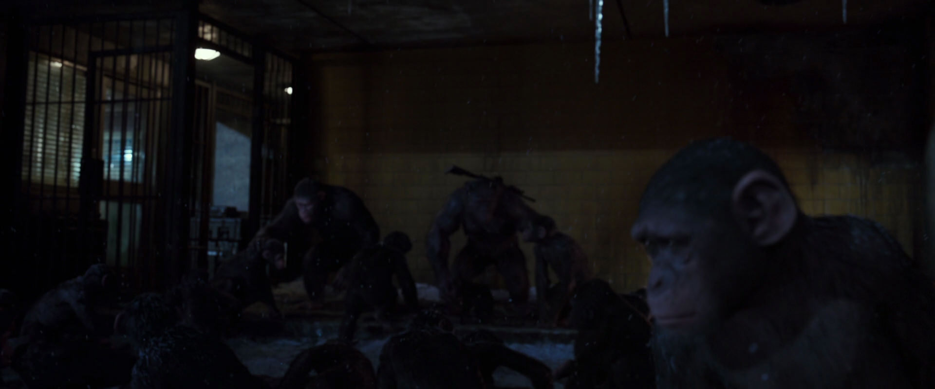 War for the Planet of the Apes (2017) screencap 12918