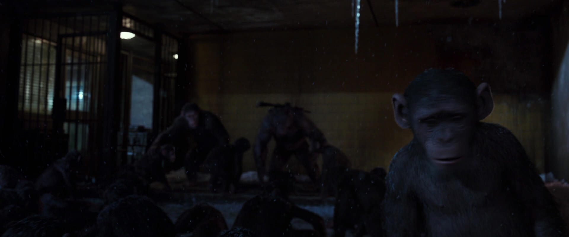 War for the Planet of the Apes (2017) movie still 12919
