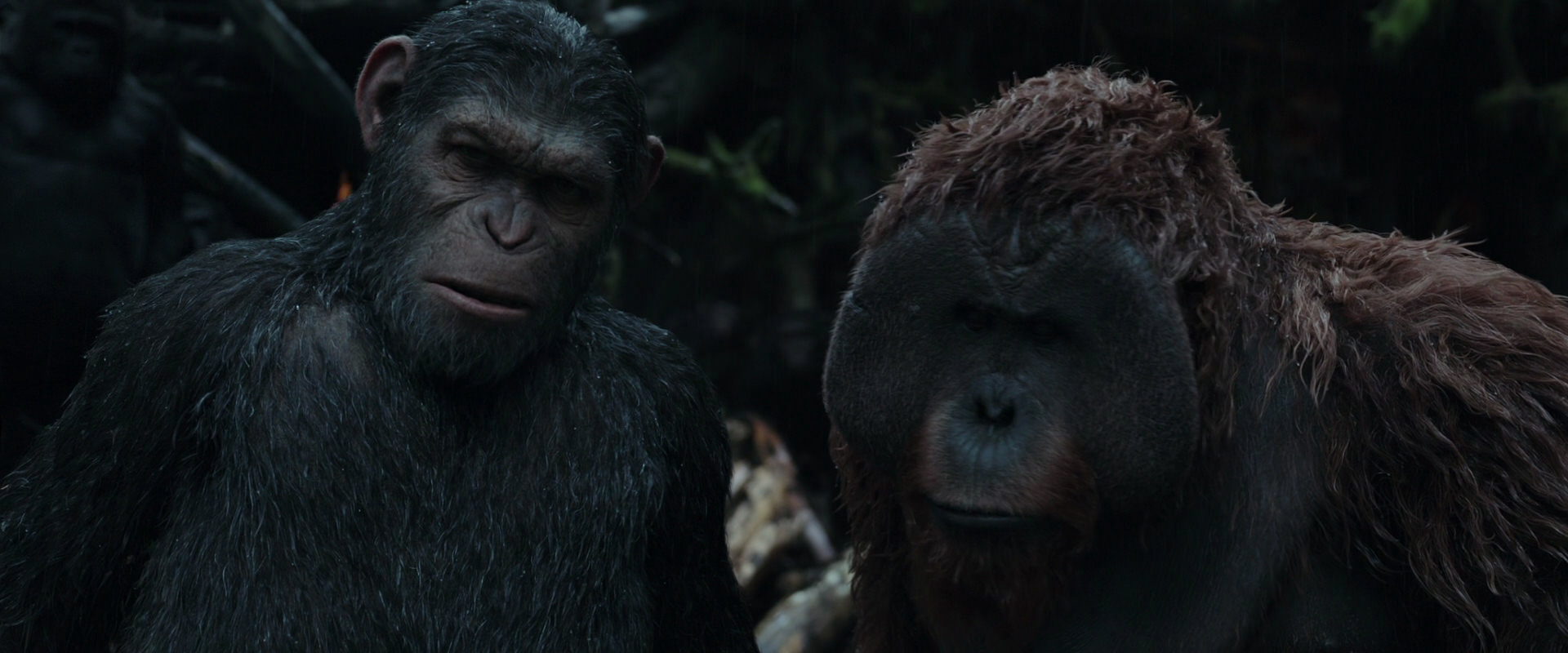 War for the Planet of the Apes (2017) HD screenshot 1292