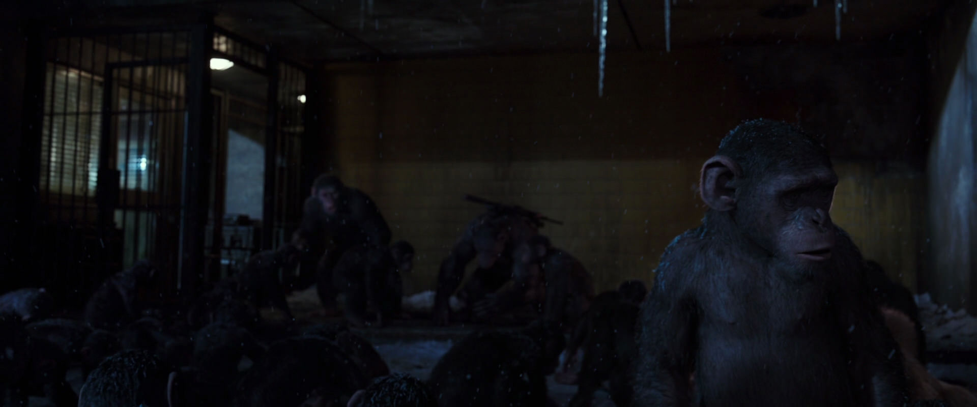 War for the Planet of the Apes (2017) HD screenshot 12920