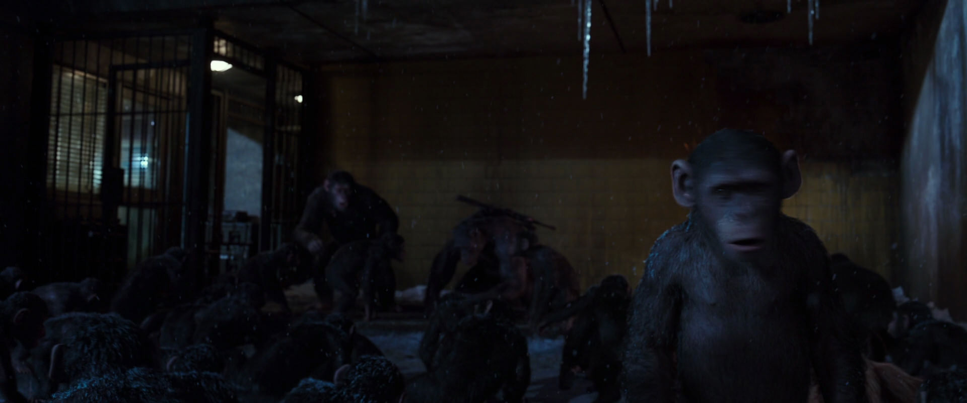 War for the Planet of the Apes (2017) screencap 12921
