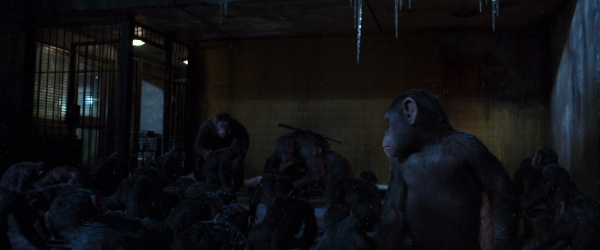 War for the Planet of the Apes (2017) movie still 12922