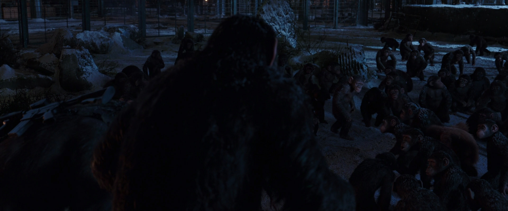 War for the Planet of the Apes (2017) HD screenshot 12923