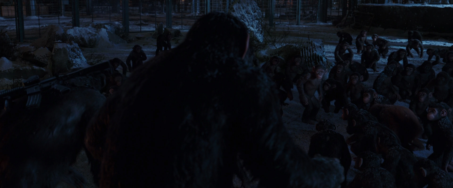 War for the Planet of the Apes (2017) screencap 12924