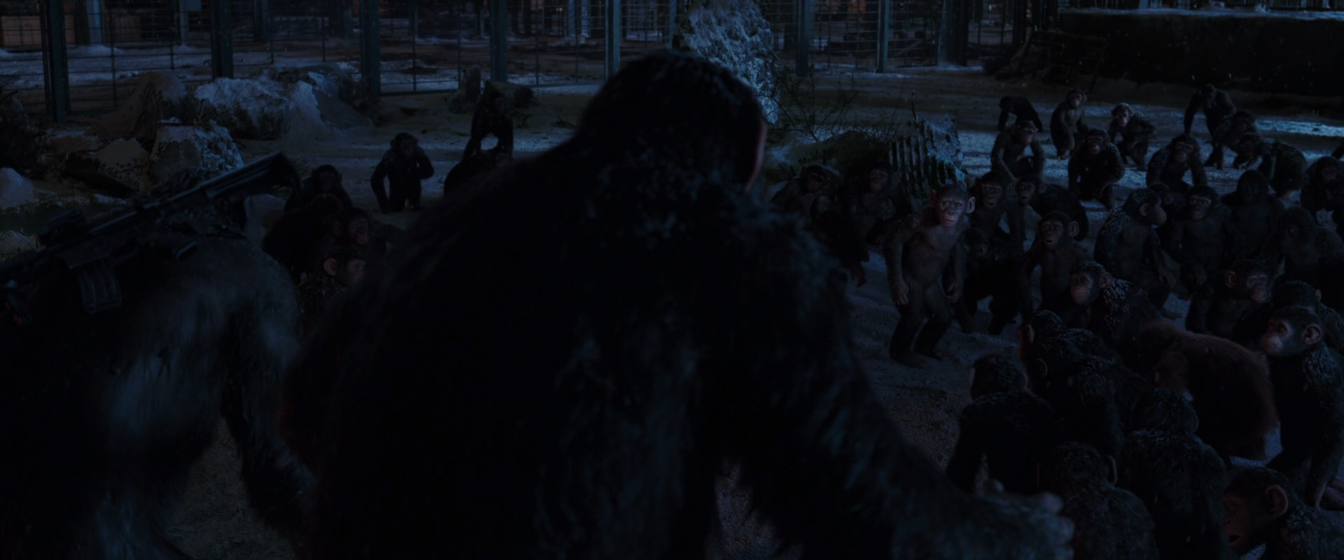 War for the Planet of the Apes (2017) movie still 12925