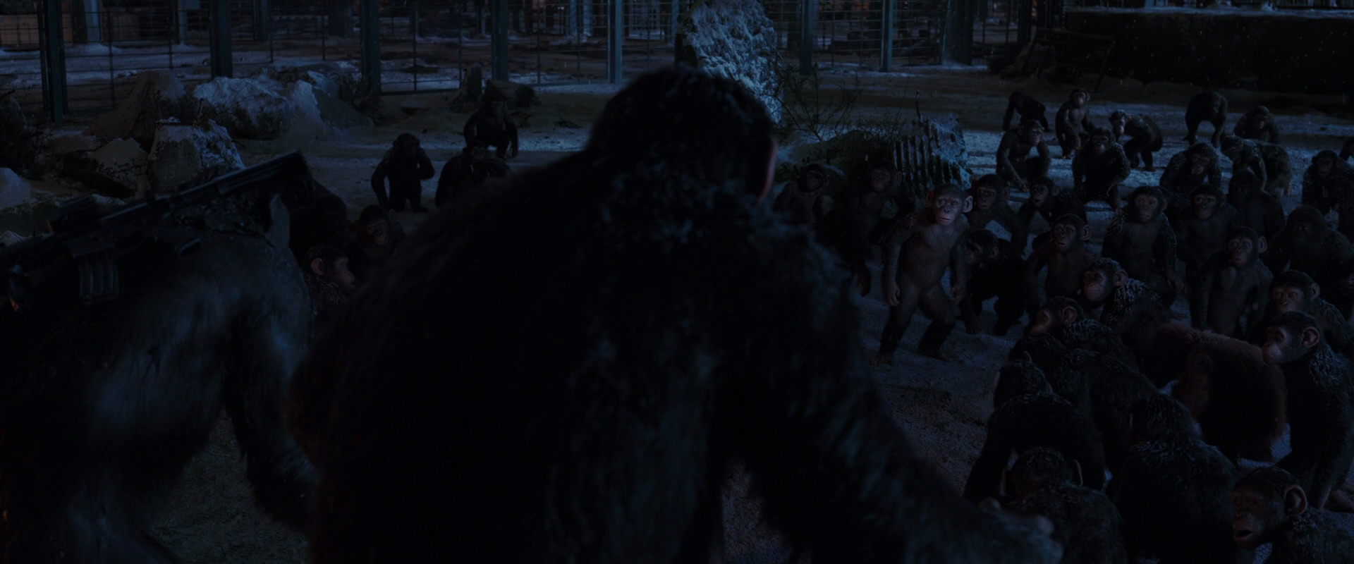 War for the Planet of the Apes (2017) HD screenshot 12926