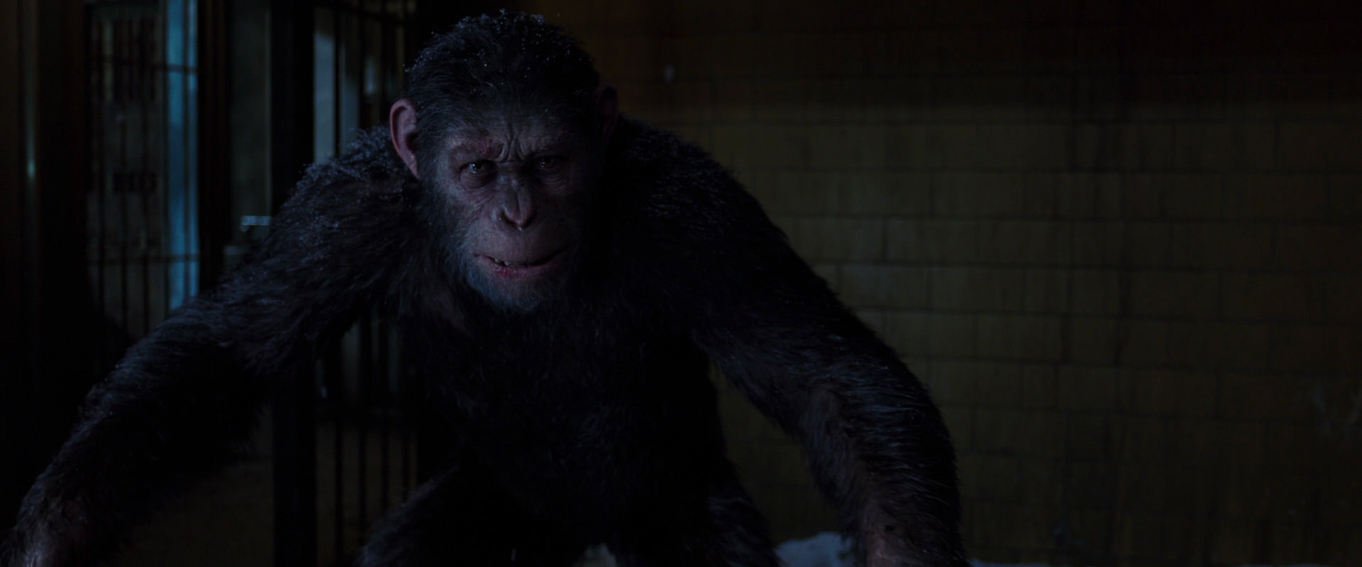 War for the Planet of the Apes (2017) screencap 12927