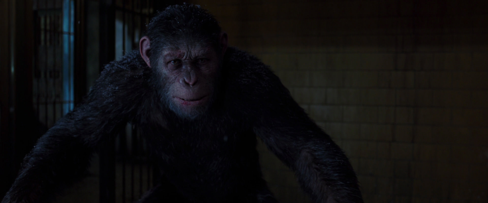 War for the Planet of the Apes (2017) movie still 12928
