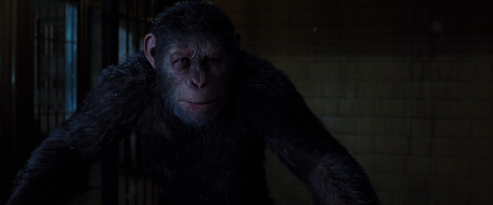 War for the Planet of the Apes (2017) HD screenshot 12929