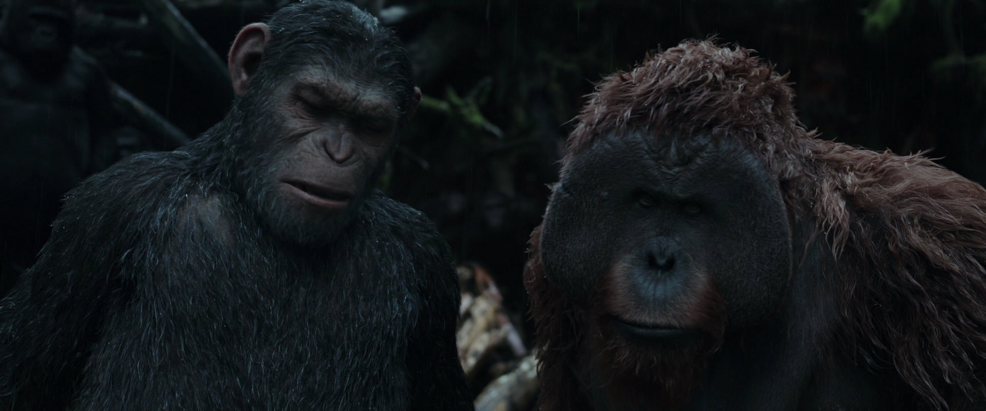War for the Planet of the Apes (2017) screencap 1293