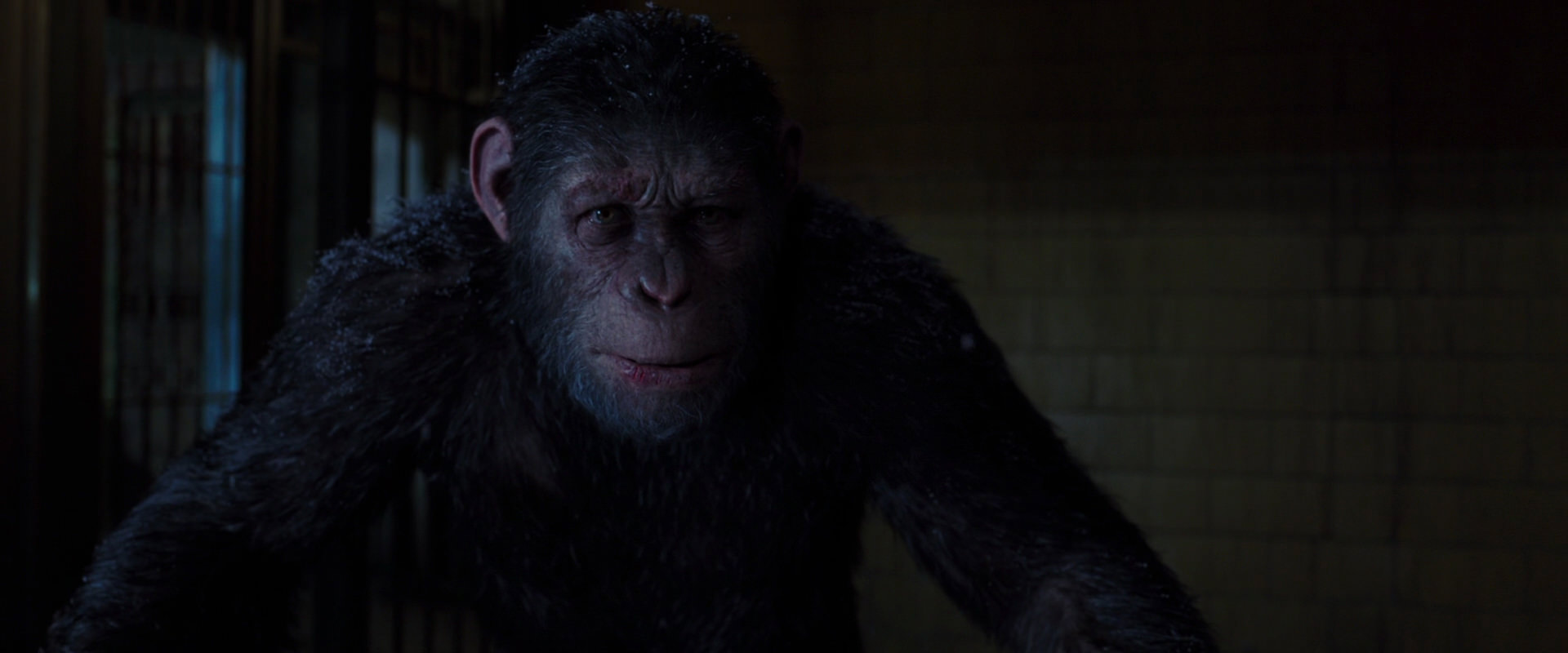 War for the Planet of the Apes (2017) screencap 12930