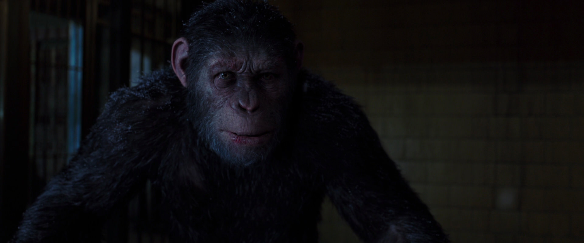 War for the Planet of the Apes (2017) movie still 12931