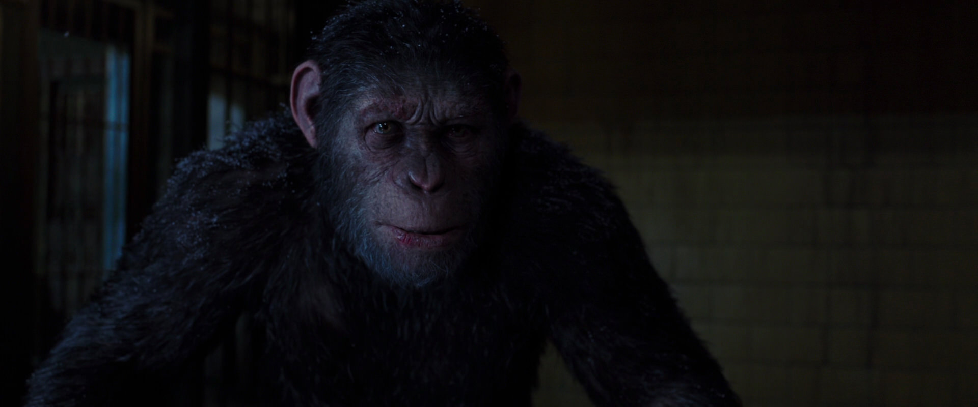 War for the Planet of the Apes (2017) HD screenshot 12932