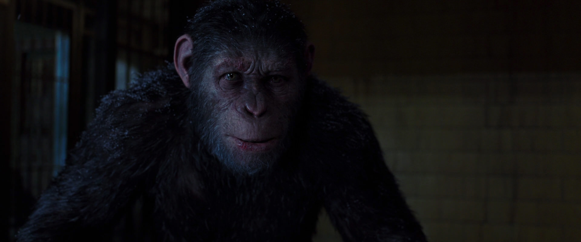 War for the Planet of the Apes (2017) screencap 12933