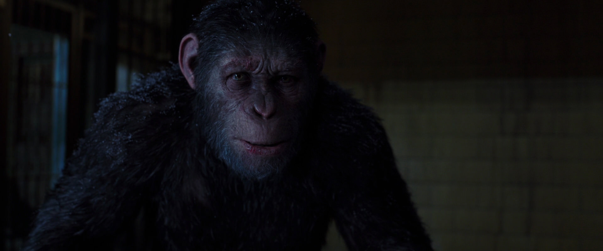 War for the Planet of the Apes (2017) movie still 12934