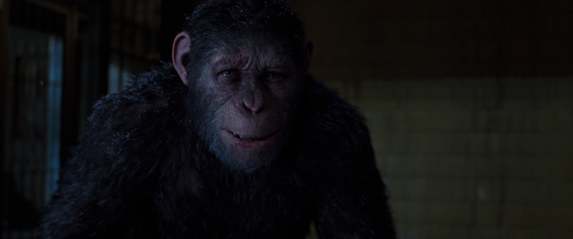 War for the Planet of the Apes (2017) HD screenshot 12935