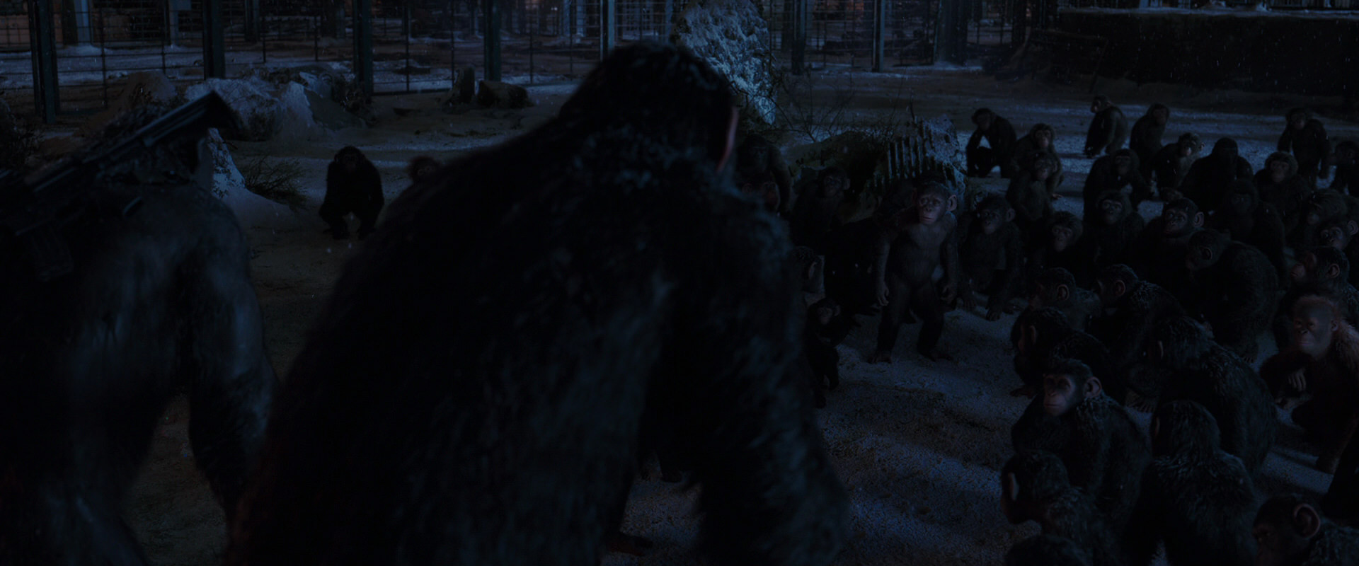 War for the Planet of the Apes (2017) screencap 12936