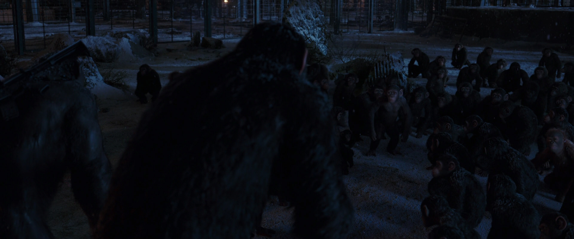 War for the Planet of the Apes (2017) movie still 12937