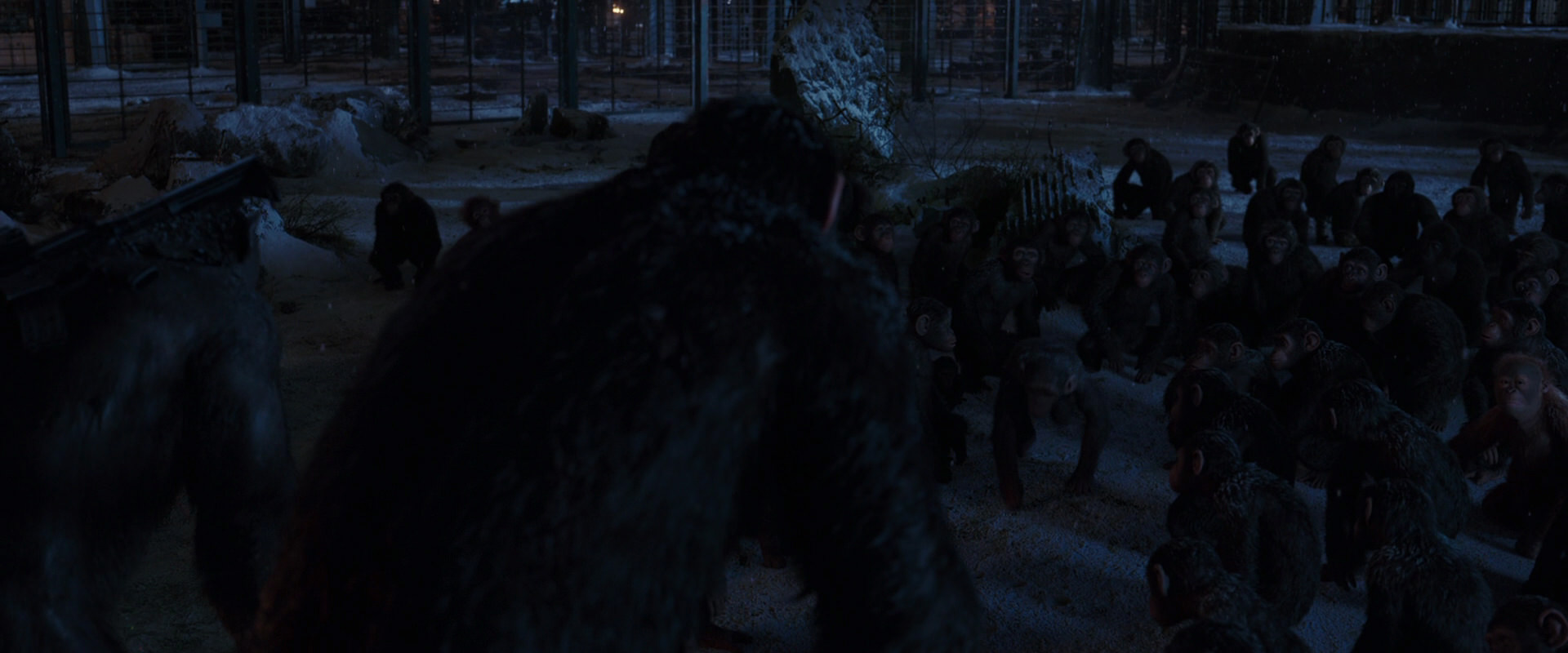 War for the Planet of the Apes (2017) HD screenshot 12938