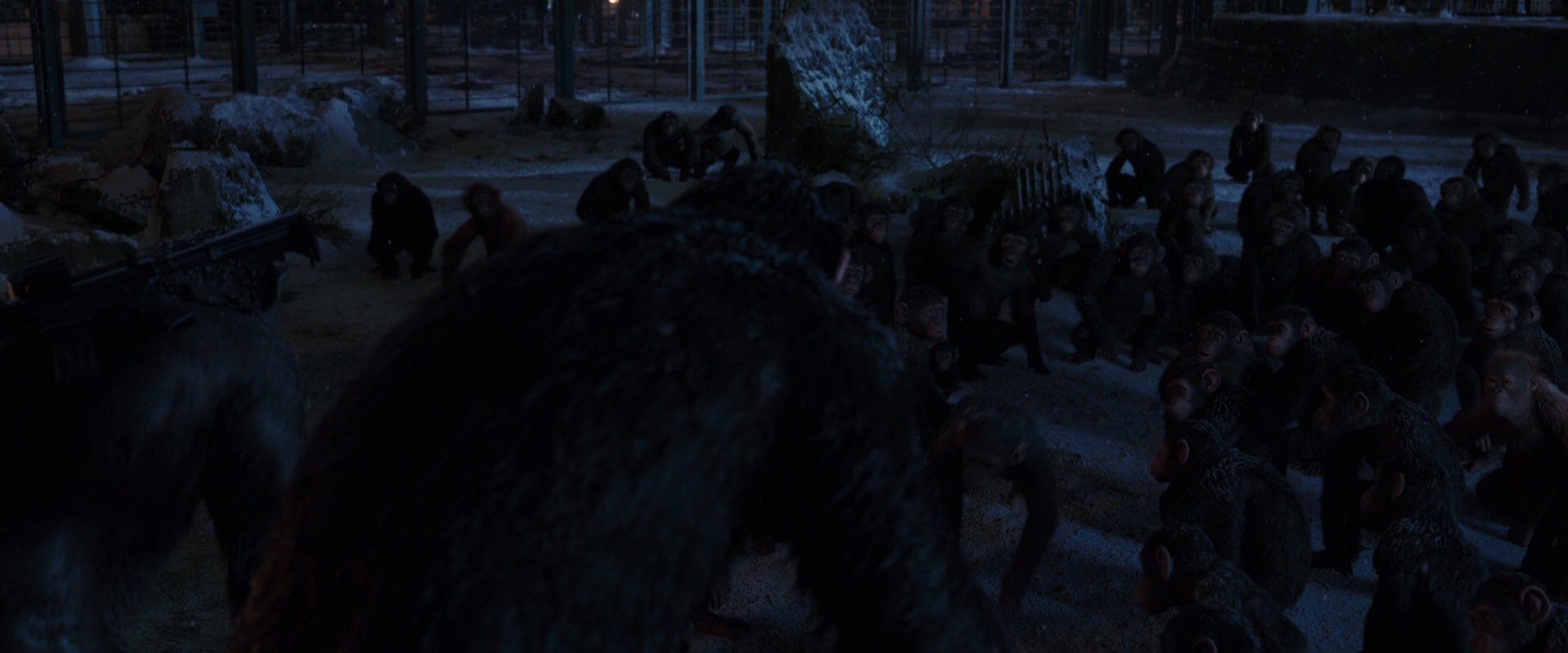 War for the Planet of the Apes (2017) screencap 12939