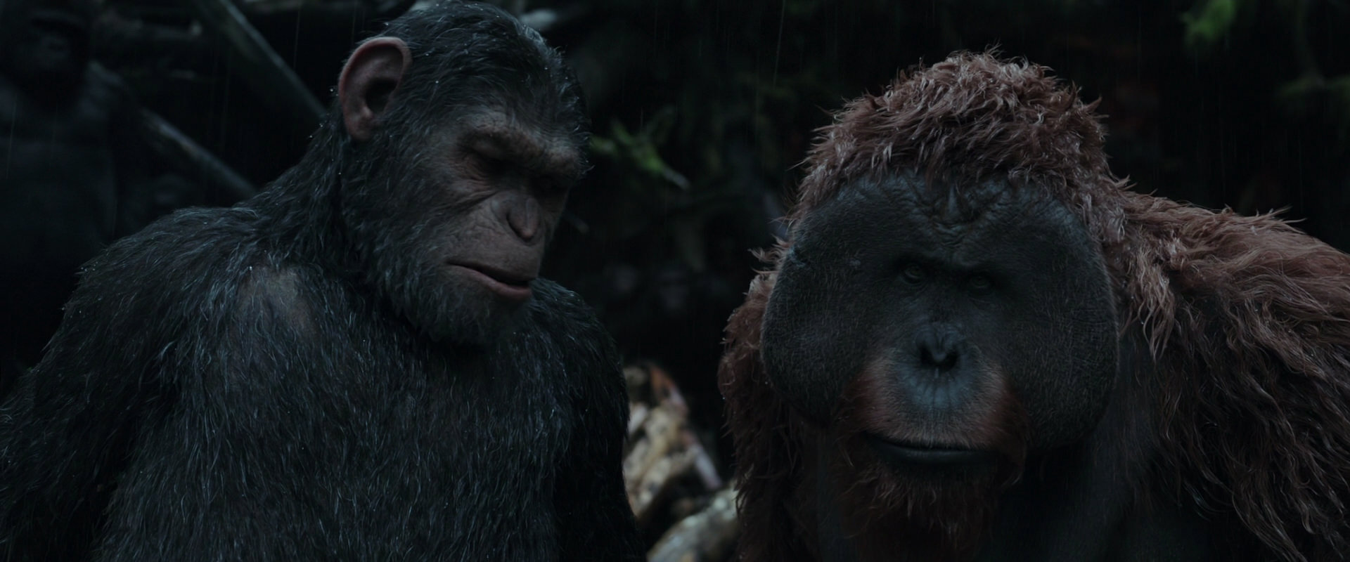 War for the Planet of the Apes (2017) movie still 1294
