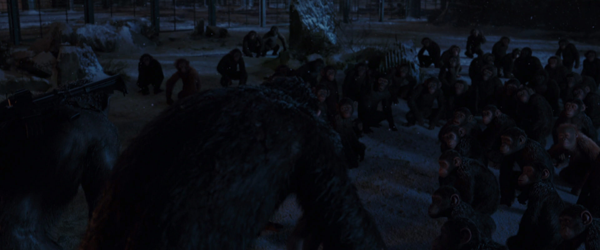 War for the Planet of the Apes (2017) movie still 12940