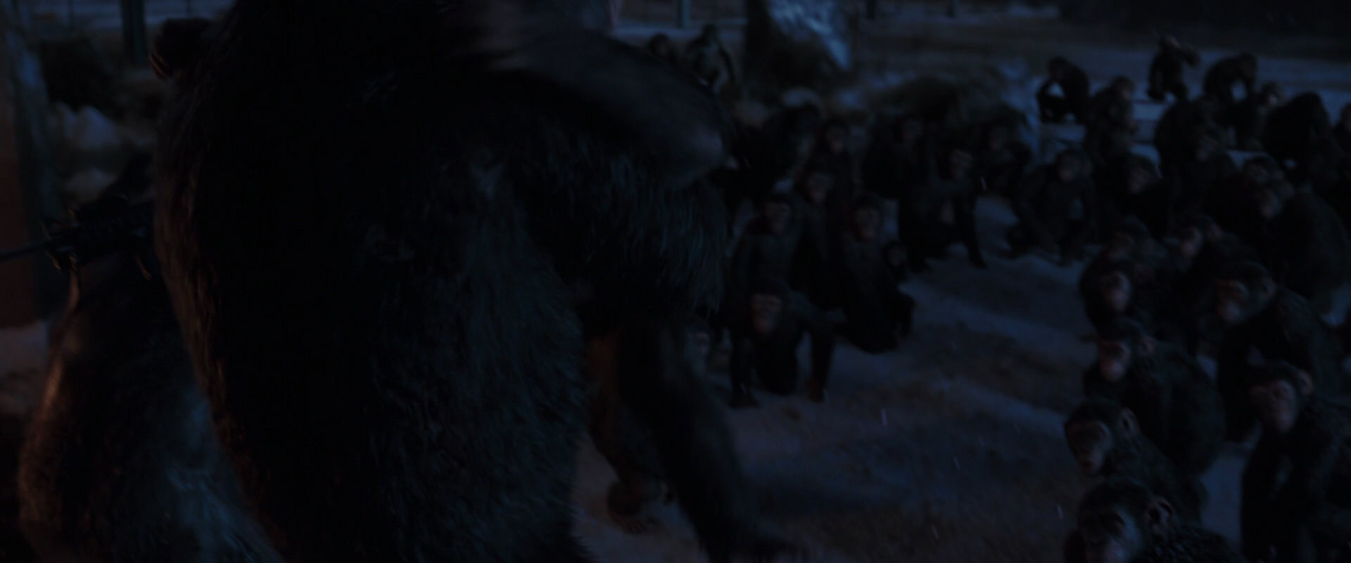 War for the Planet of the Apes (2017) screencap 12942