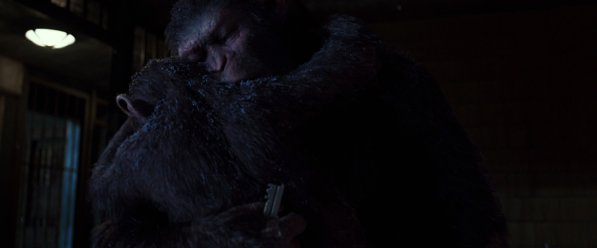 War for the Planet of the Apes (2017) HD screenshot 12944