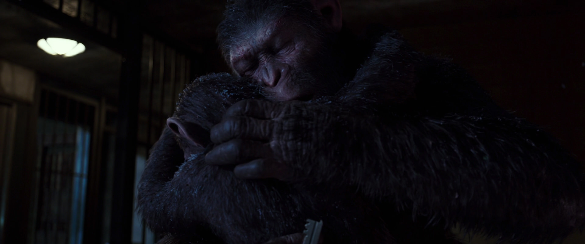 War for the Planet of the Apes (2017) movie still 12946