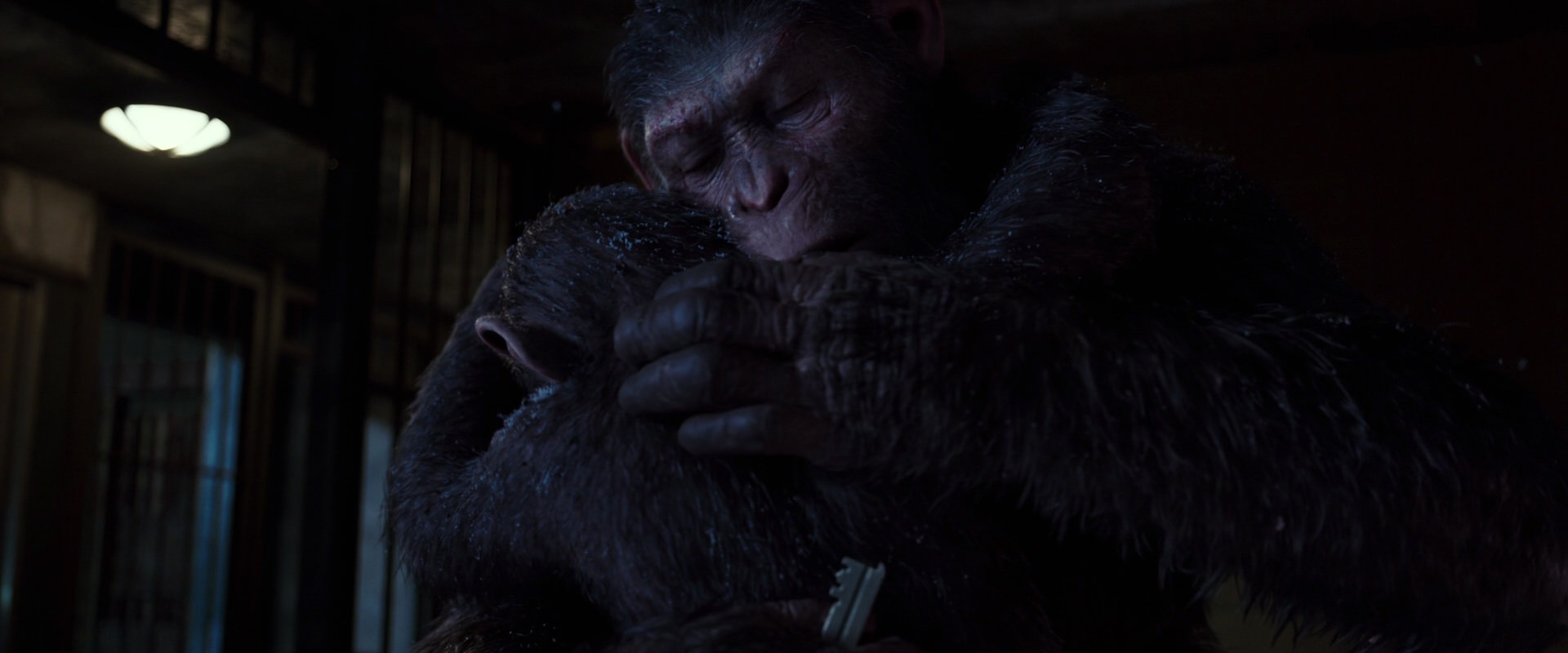 War for the Planet of the Apes (2017) HD screenshot 12947