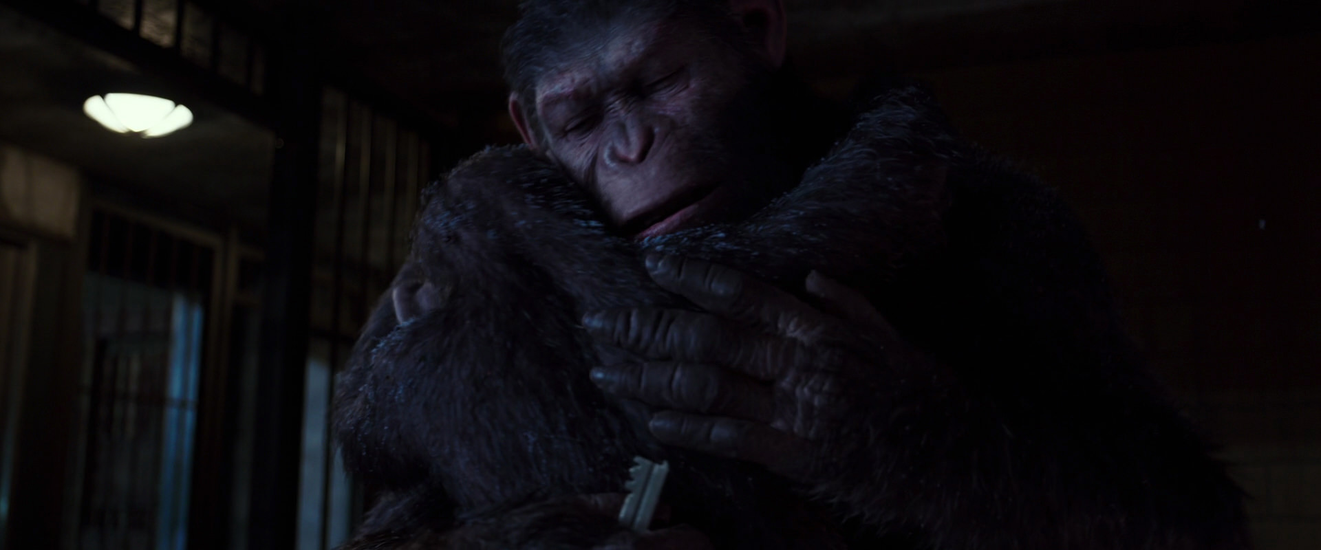 War for the Planet of the Apes (2017) screencap 12948