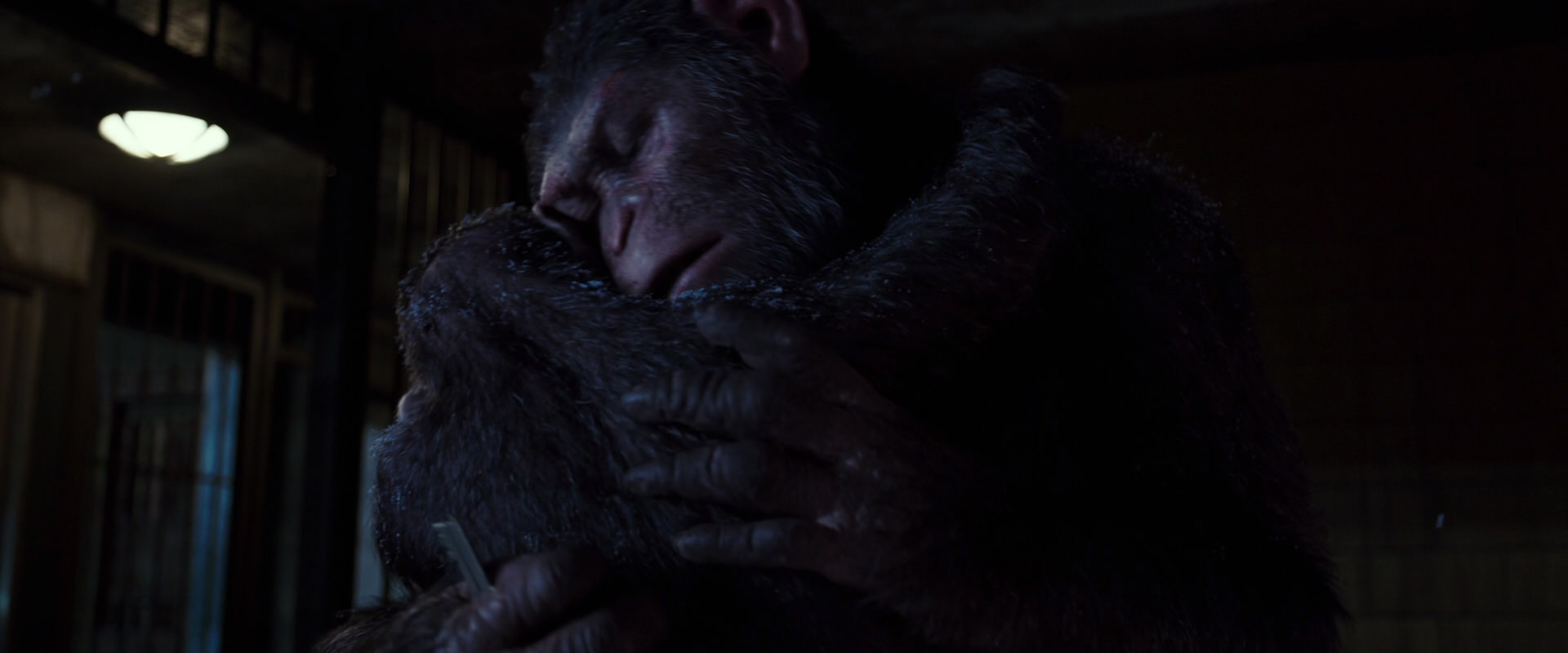 War for the Planet of the Apes (2017) movie still 12949