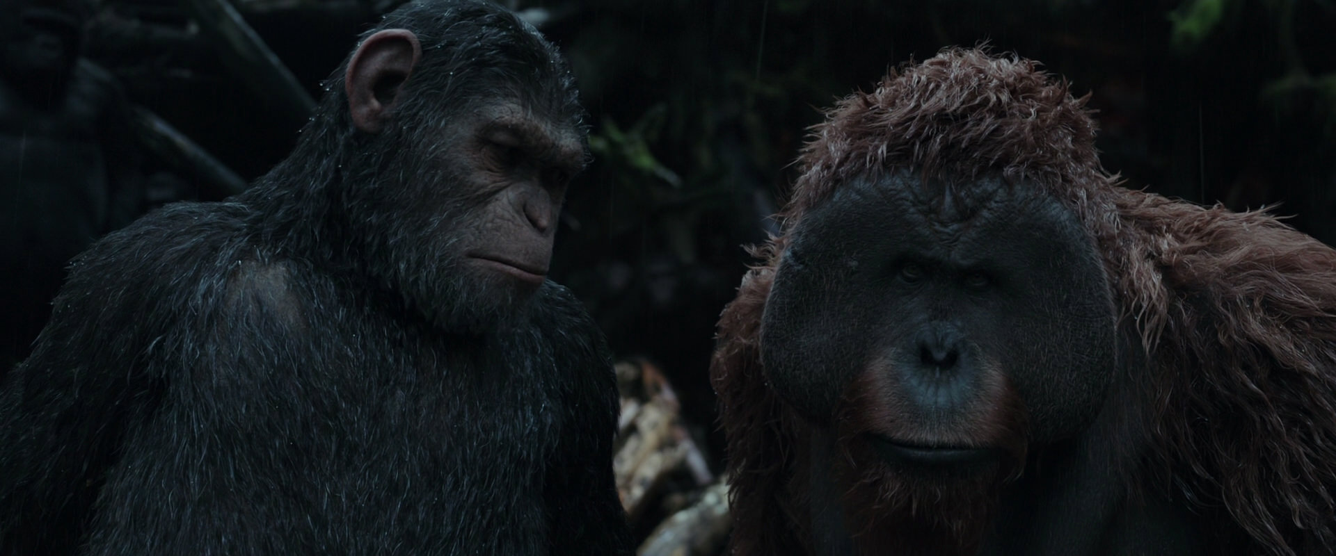 War for the Planet of the Apes (2017) HD screenshot 1295
