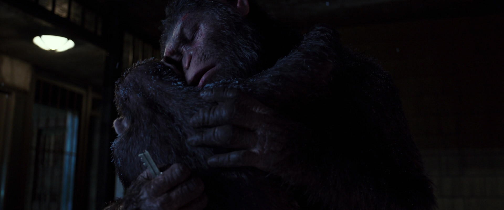 War for the Planet of the Apes (2017) HD screenshot 12950
