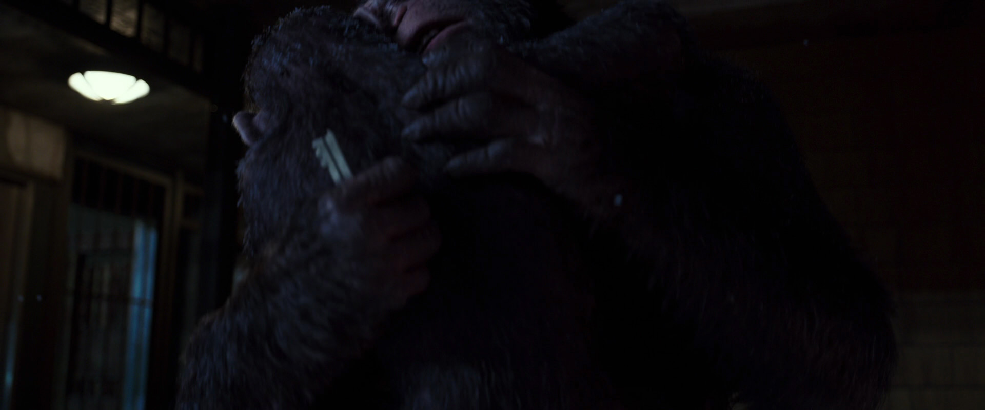 War for the Planet of the Apes (2017) screencap 12951