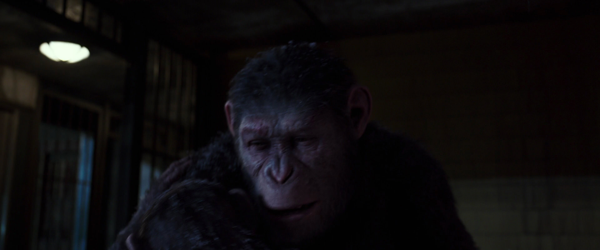 War for the Planet of the Apes (2017) HD screenshot 12953