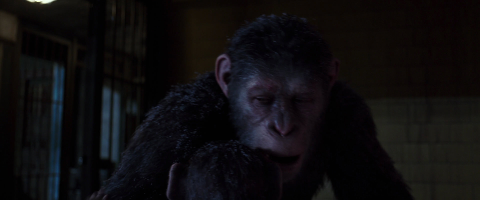 War for the Planet of the Apes (2017) screencap 12954