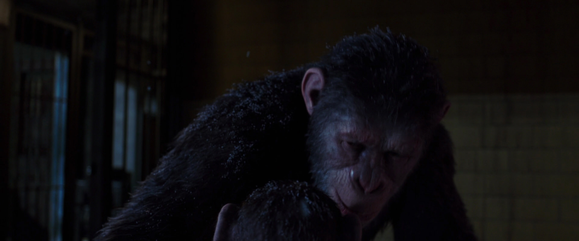War for the Planet of the Apes (2017) movie still 12955